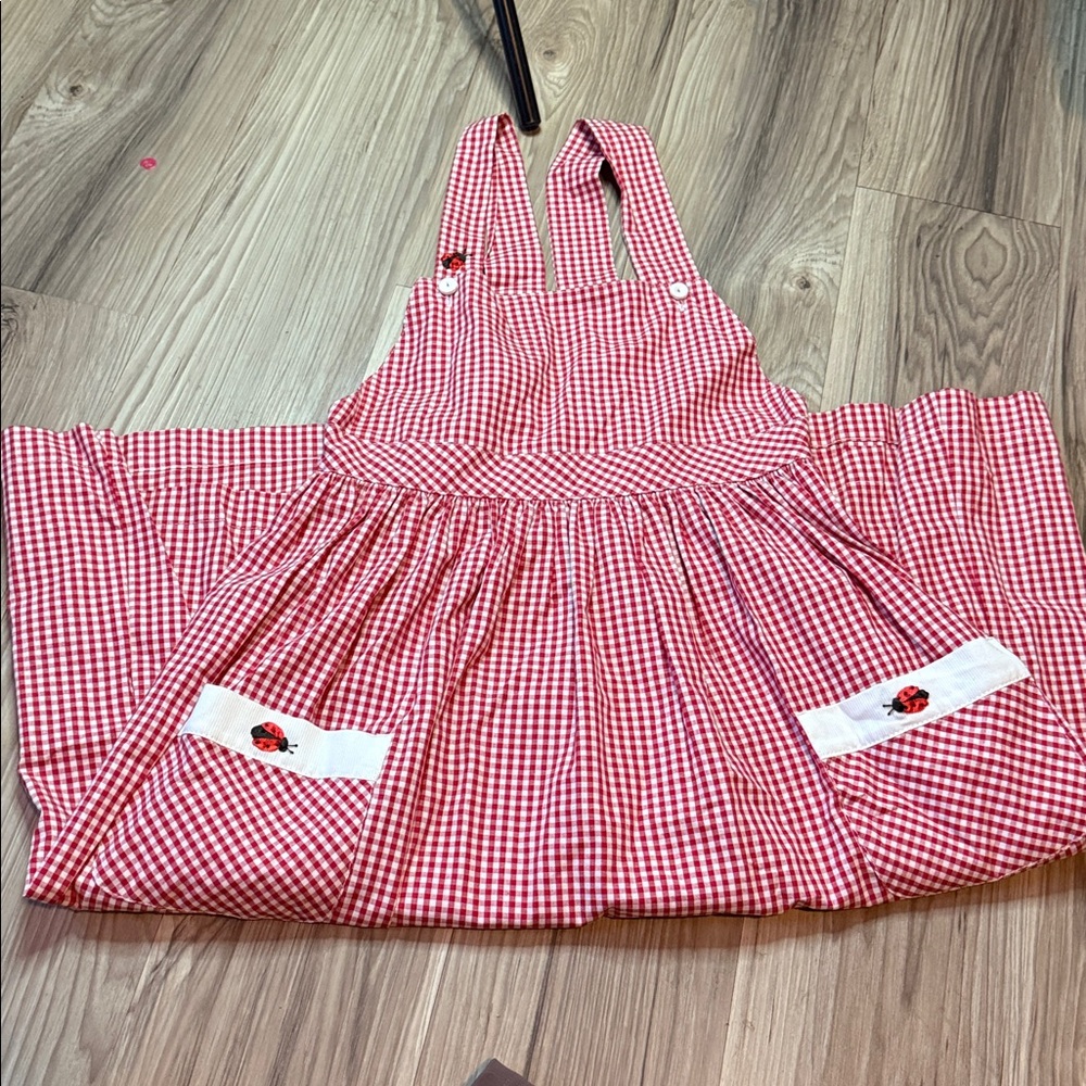 Vintage 100% Cotton Ladybug Gingham Dress for Girls - Classic Summer Style